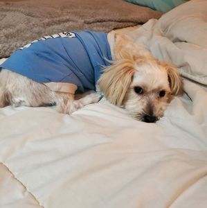 Meet your Posher, Rafael